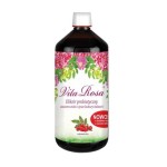 Vita Rosa 1000ml ekologiczny Eliksir Probiotyczny