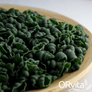 MAKARON PROTEIN ORKISZ + SPIRULINA BIO Muszelka 400g ORVITA