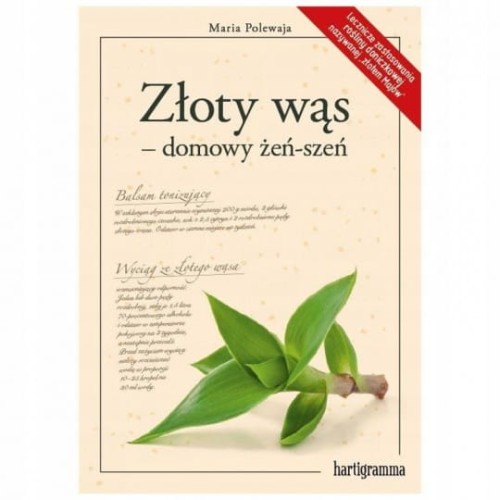 zloty-was-domowy-zen-szen.jpg