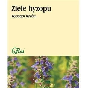 hyzop-ziele.jpg